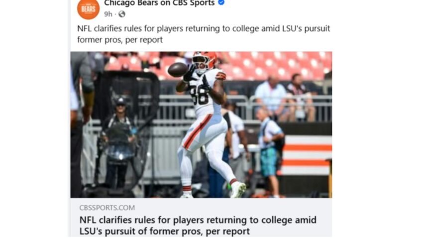 After years of rebuilding, the Bears now have a roster filled with talent that could surprise the NFC.