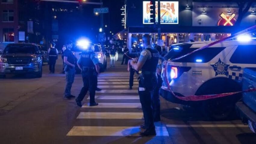 Witnesses reported cars being trampled, windshields smashed, and property vandalized.